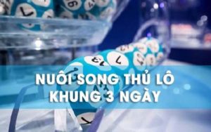 Tìm hiểu về thuật ngữ song thủ lô trong lô đề xổ số là như nào